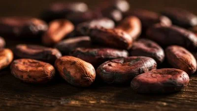 Agriculture commodities price today, May 13: Cocoa crashes 57.43% YoY while tea surges 16.39% in daily spike