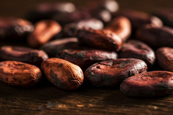 Agriculture commodities price today, May 13: Cocoa crashes 57.43% YoY while tea surges 16.39% in daily spike