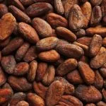Agriculture commodities price today, May 21: Cocoa plunges 62% YoY as potatoes surge 704%