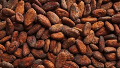 Agriculture commodities price today, May 21: Cocoa plunges 62% YoY as potatoes surge 704%
