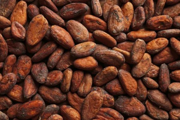 Agriculture commodities price today, May 21: Cocoa plunges 62% YoY as potatoes surge 704%