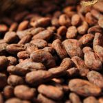 Agriculture commodities prices today, May 26: Cocoa plunges 57.62% YoY while potatoes surge 184.62%