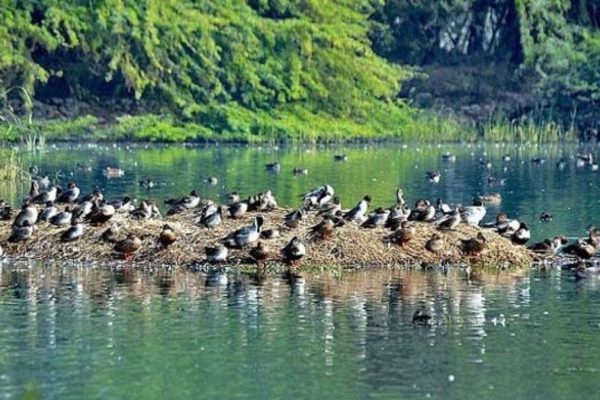4 Indian sites recognized as wetlands of international importance under Ramsar Convention