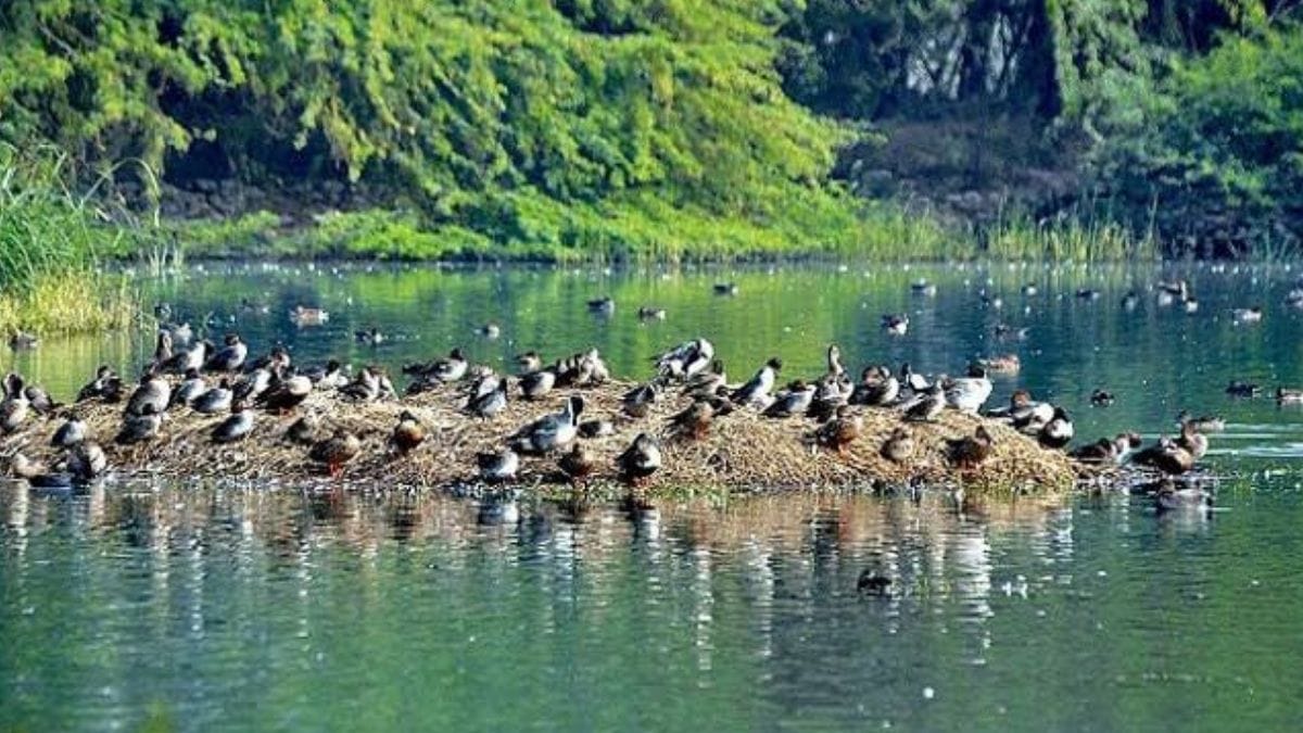 4 Indian sites recognized as wetlands of international importance under Ramsar Convention