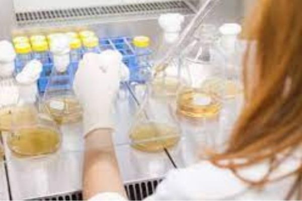 Krsnaa Diagnostics shares close at 4% premium over issue price