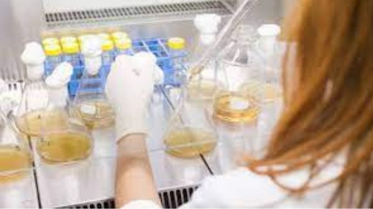 Krsnaa Diagnostics shares close at 4% premium over issue price