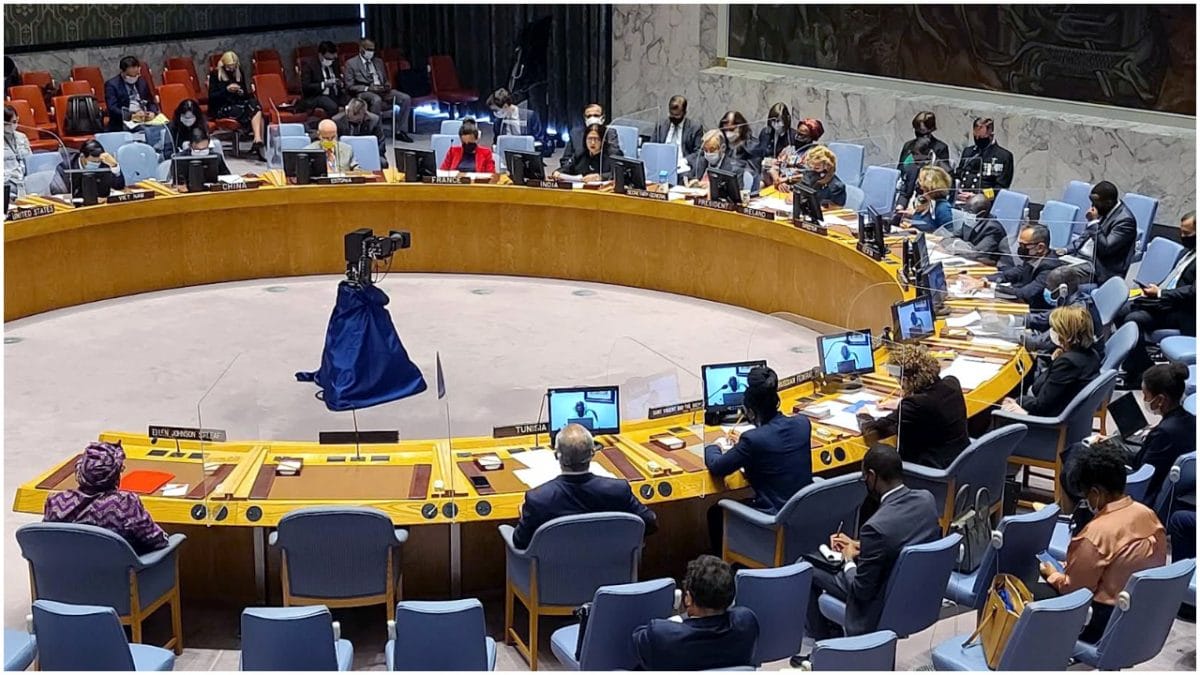 United Nations Security Council