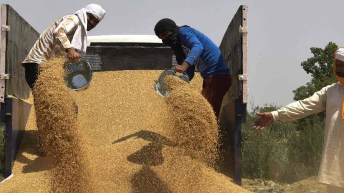 India's unexpected wheat export restriction traps 1.8 million tones at ports
