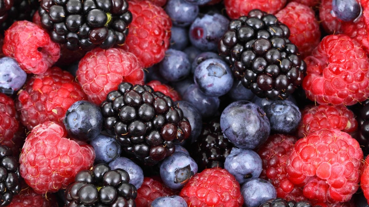 Is RESVERATROL important for your skin?