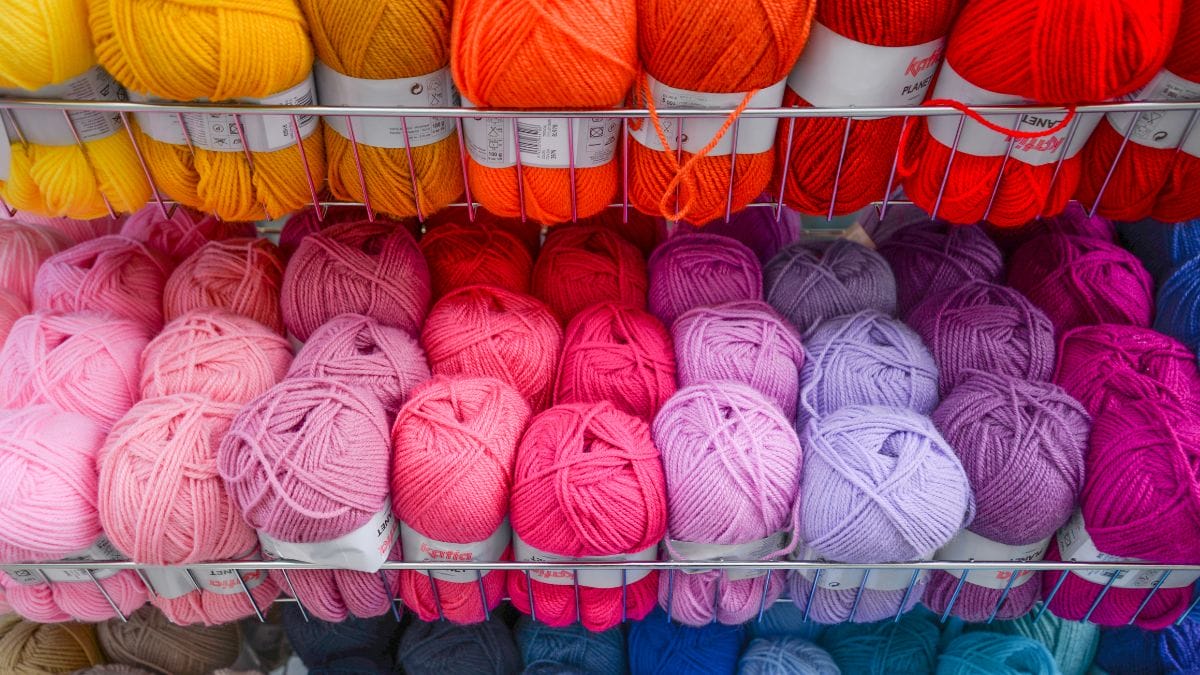 How is wool obtained?: From shearing to scouring