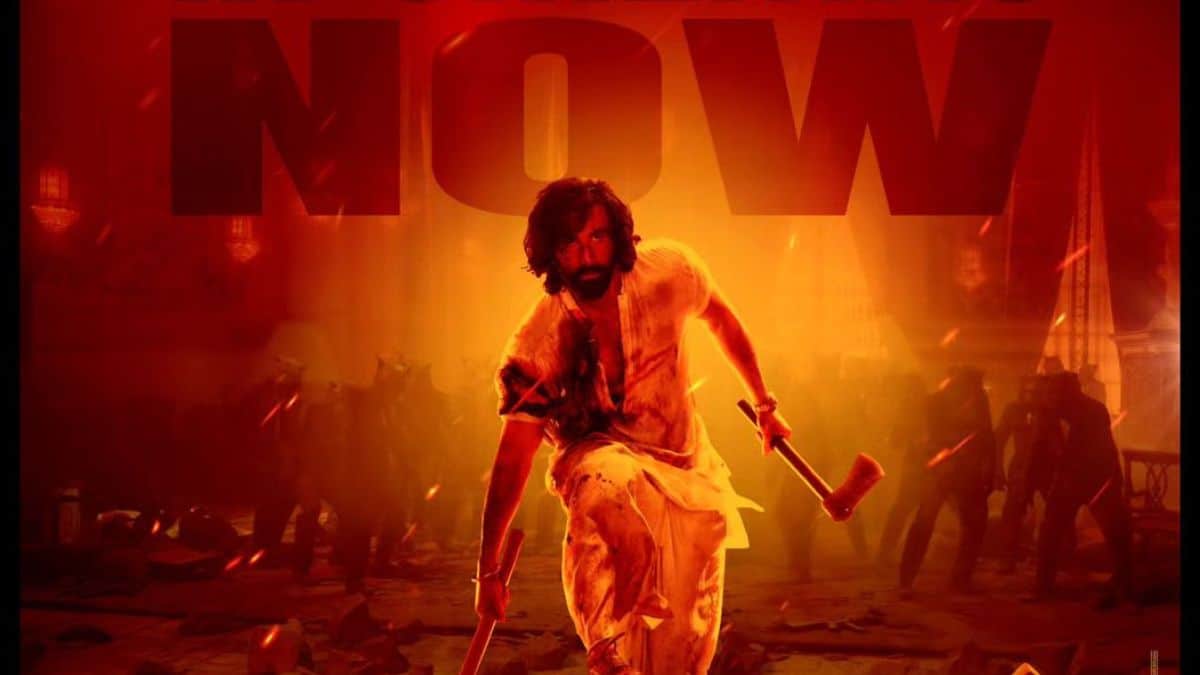 ranbir kapoor animal