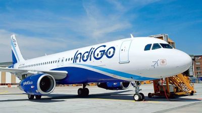 Indigo flight