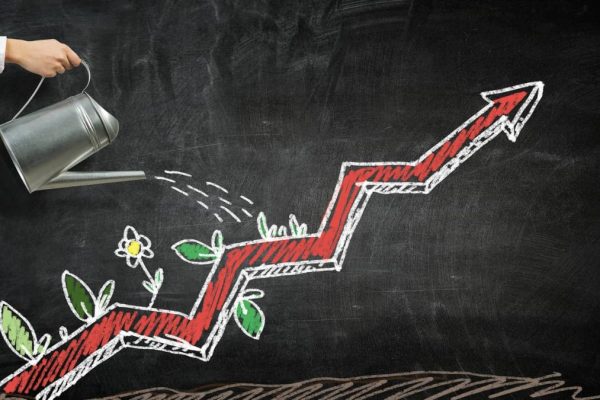 Investment Renaissance