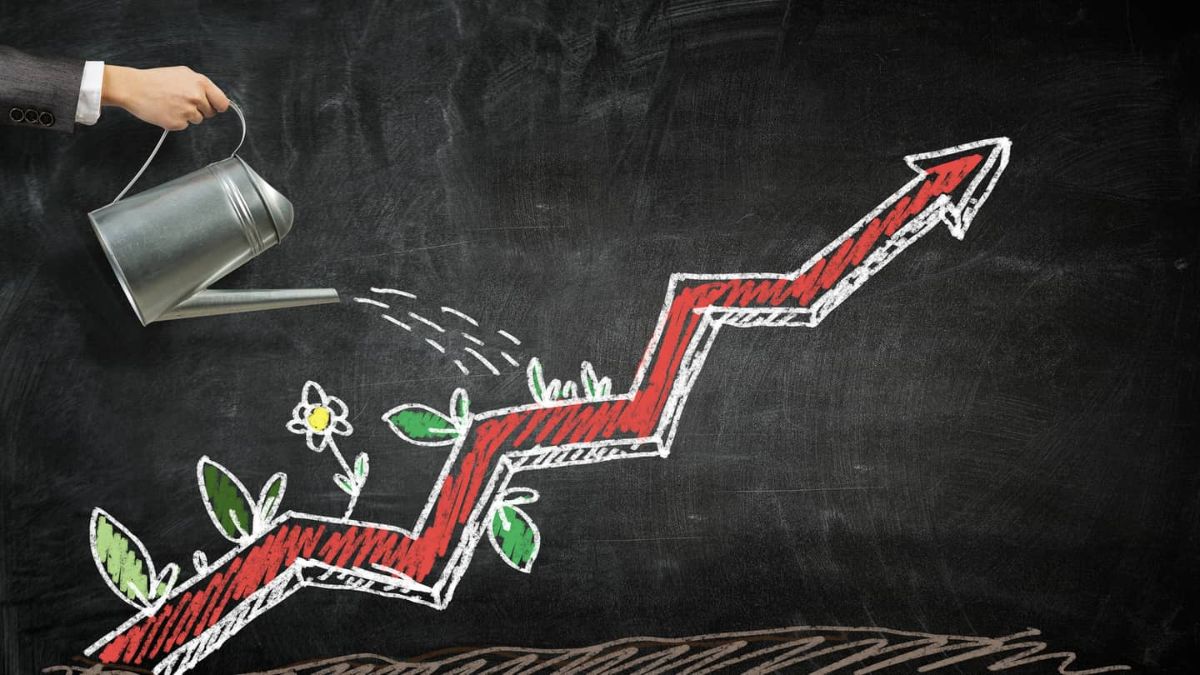 Investment Renaissance