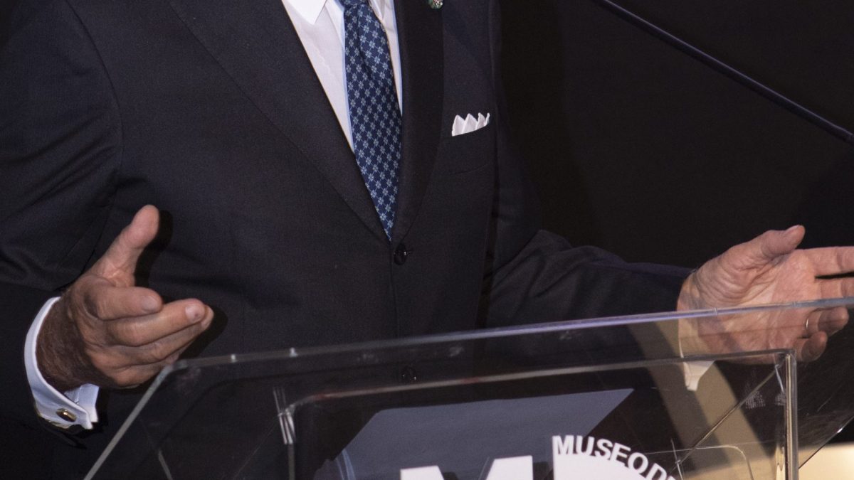 ACI, Council of State refers decision on commissioner appointment back to TAR for full review