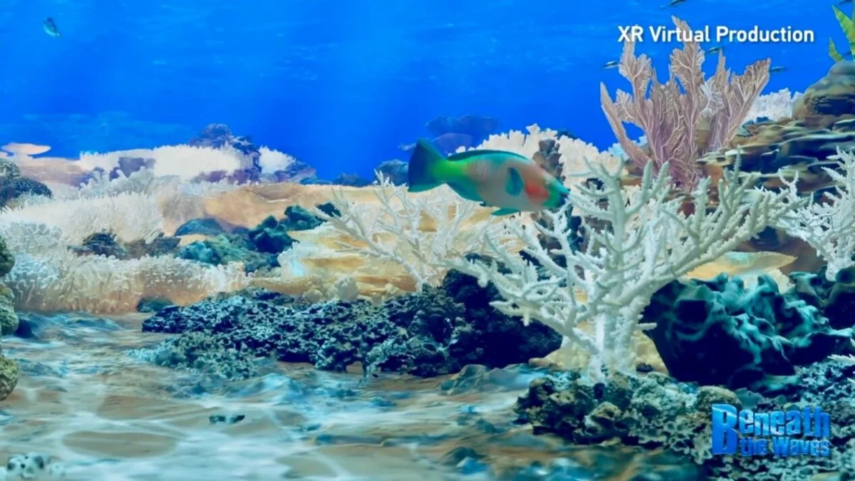 CGTN Releases Interview Video Highlighting Coral Reef Crisis in the South China Sea