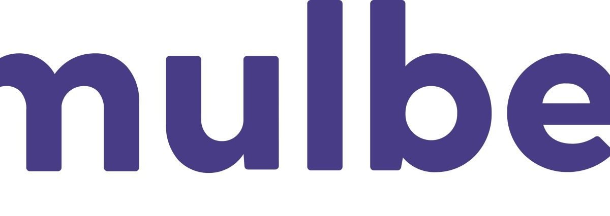 Mulberry and Appliance.io Launch Scalable, Tech-Forward Product Protection Program