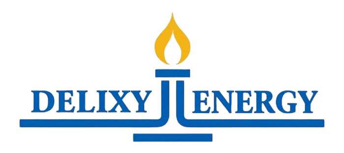 Delixy Holdings Limited Announces Pricing of Initial Public Offering