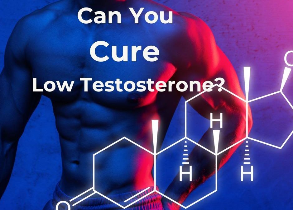 Men Across the U.S. Turn to Natural Testosterone Support: Blue Ribbon LLC Highlights Effective Wellness Formula