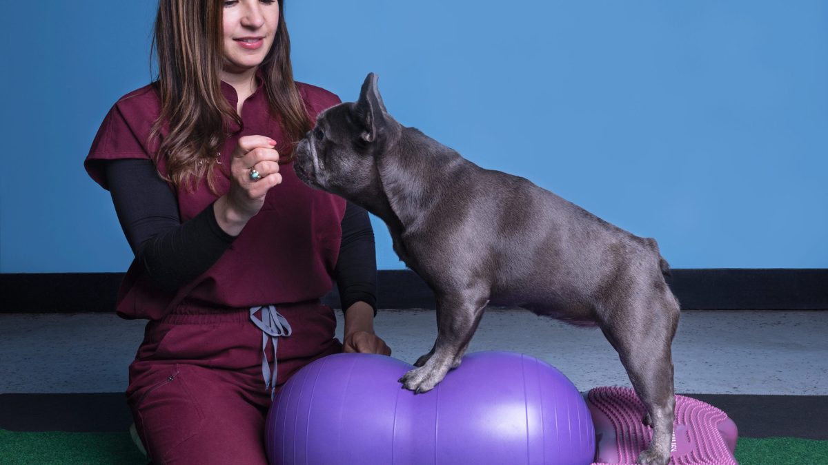 MYOS PET and Leading Veterinarian Urge Action as Weather Extremes Impact Senior Pet Muscle Health