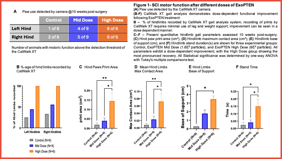 New ExoPTEN Preclinical Study Indicates Significant Improvement in Walking Quality in Spinal Cord Injury Model