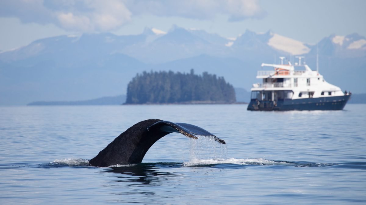 SEA Index Partners with Bureau Veritas to Expand Its Superyacht Sustainability Certification Program