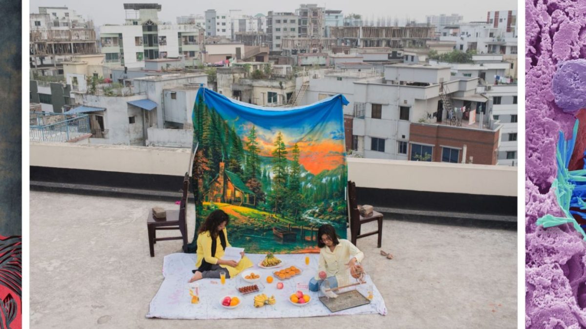 Wellcome Photography Prize 2025: Winning Images Reveal Powerful Stories of Science and Health