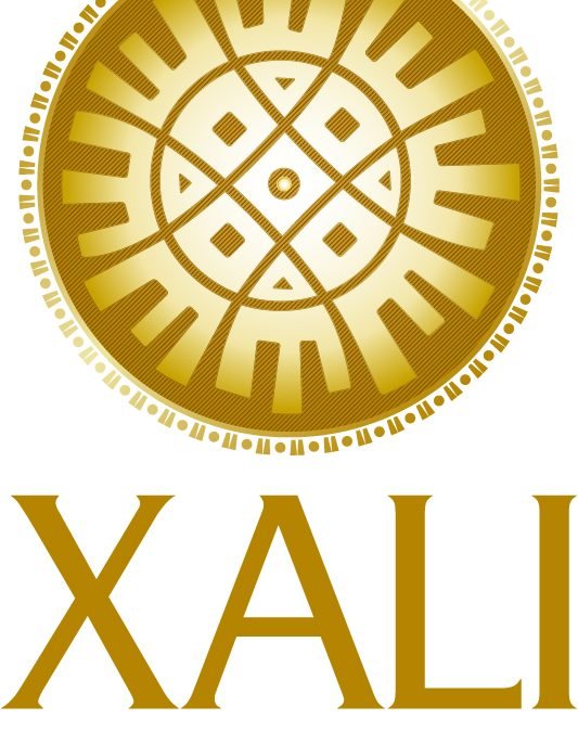 Xali Gold Provides Update on South American and Mexican Projects