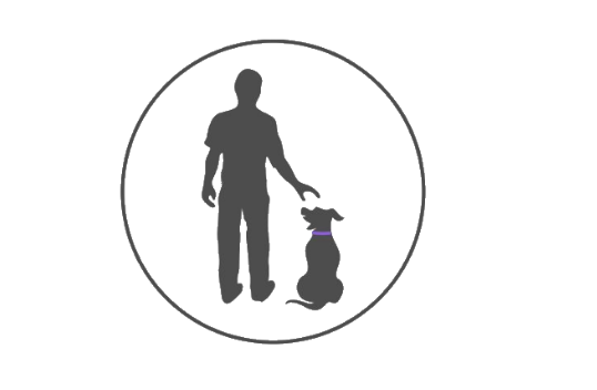 Zoeta Dogsoul Publishes Groundbreaking White Papers on Canine Cognitive Behavior and Invisible Leash Communication