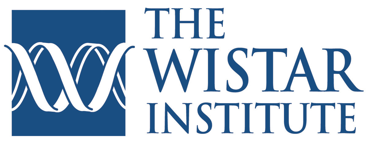 Wistar Institute Recruits Computational Biologist Simon Chu, Ph.D., as Caspar Wistar Fellow in the Ellen and Ronald Caplan Cancer Center