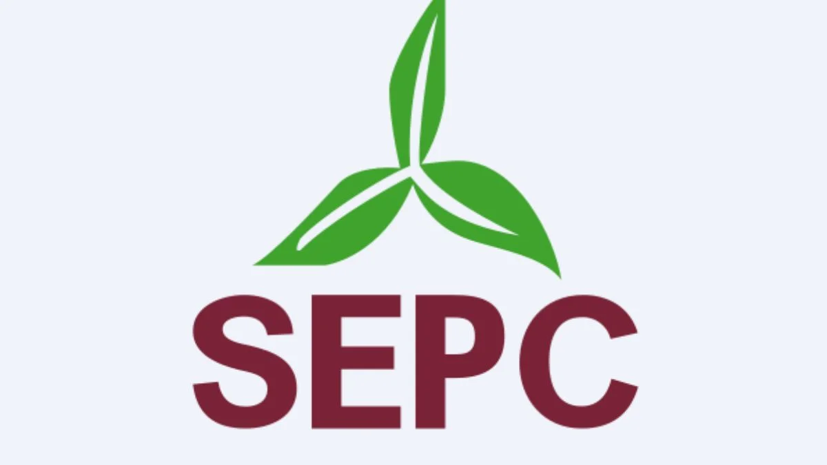 SEPC shares rise over 2% after company bags Rs 230 crore mining infrastructure order from MOIL