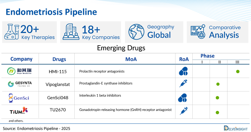 Endometriosis Clinical Trial Pipeline Accelerates as 18+ Pharma Companies Rigorously Develop Drugs for Market Entry | DelveInsight