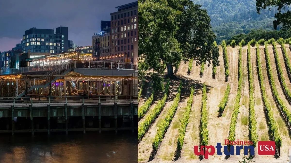 5 Game-Changing Munchies to Pair with Wine Across the USA in 2025